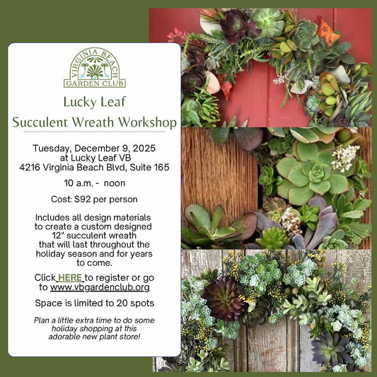 Lucky Leaf Succulent Workshop
