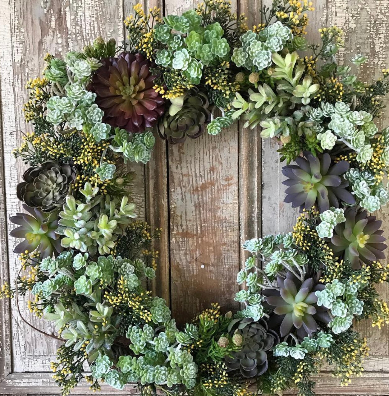 Lucky Leaf Succulent Workshop